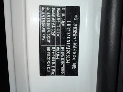 2023 Geely Galaxy Panda Mini 200km Endurance Bear, фото 4, лот 11549236