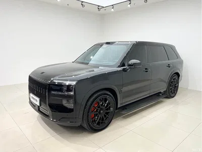 2025 ZEEKR 9X Model Gloss Black Edition, фото 1, лот 11090050