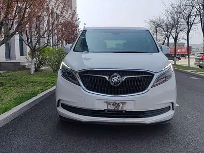 2017 Buick GL8 ES 28T Luxury China V, фото 2, лот 10257468