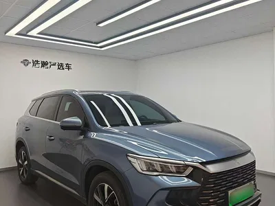 2023 BYD Song Pro New Energy Champion Edition DM-i 71KM Leading Type, фото 3, лот 10674636