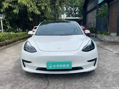 2022 Tesla Model 3 Model Rear-Wheel Drive Version, фото 2, лот 10350529