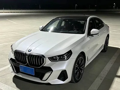 2024 BMW 5 Series 530Li Leading M Sport Package, фото 1, лот 10808098