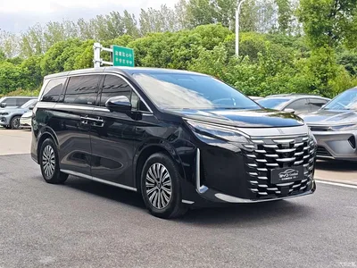 2025 BYD Xia DM-i 1.5T 180km Excellence, фото 3, лот 10256998