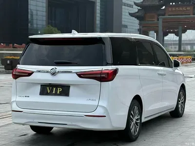 2023 Buick GL8 ES Landmaster Exclusive, фото 4, лот 10254056