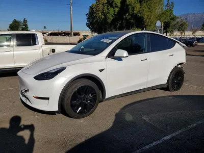 2024 TESLA MODEL Y, фото 1, лот 10767358