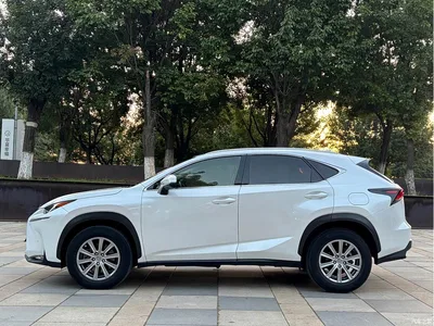 2016 Lexus NX 200 AWD F Sport, фото 4, лот 10317059