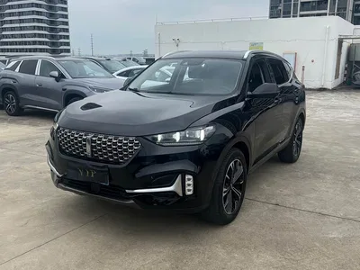 2021 WEY VV6 2.0T 2WD Smart Protection+, фото 1, лот 10451823