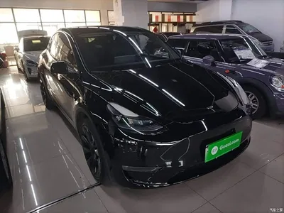 2021 Tesla Model Y Model Long Range AWD, фото 4, лот 11585544