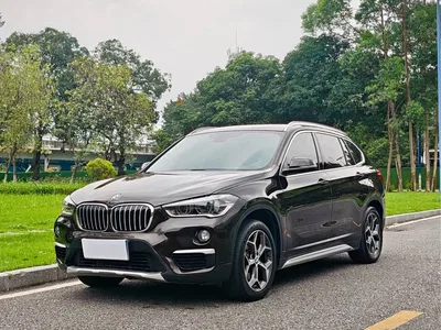 2019 BMW X1 xDrive20Li Premium Model, фото 1, лот 10406078