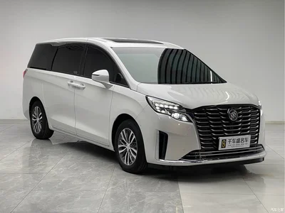 2023 Buick GL8 ES Landmaster Exclusive, фото 3, лот 11567999