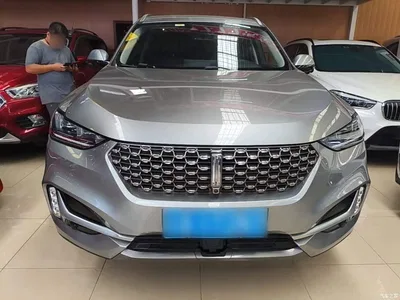 2021 WEY VV6 2.0T 2WD Smart Enjoyment+, фото 3, лот 10903205