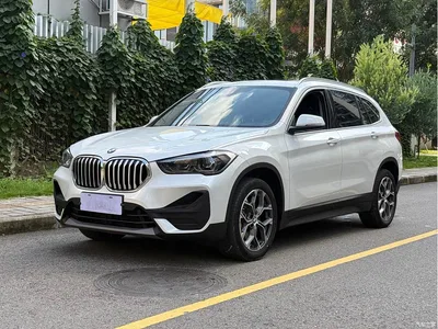 2021 BMW X1 sDrive25Li Leading, фото 1, лот 11249749