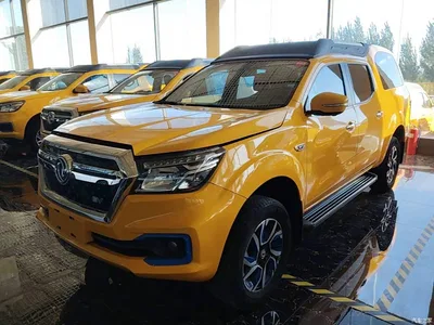 2023 Dongfeng Rich 6 New Energy Palasso Van Standard Edition 320km, фото 2, лот 11519121