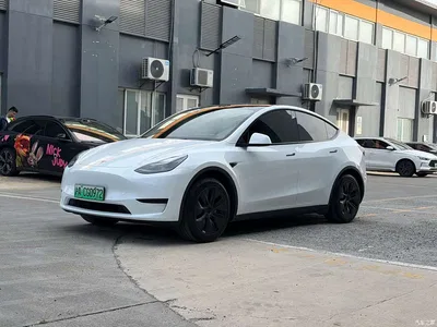 2023 Tesla Model Y Rear-Wheel Drive Edition, фото 1, лот 10455189