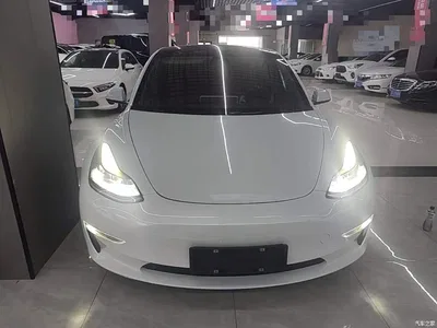 2022 Tesla Model 3 Model Rear-Wheel Drive Version, фото 3, лот 11136421