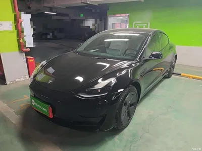 2022 Tesla Model 3 Model Rear-Wheel Drive Version, фото 1, лот 10390366