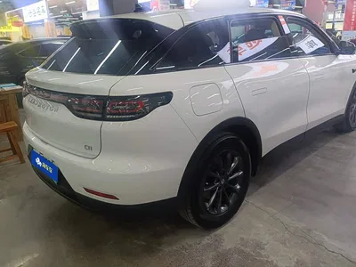 2023 Leapmotor C11 Pure Electric 500 Comfort Edition, фото 3, лот 10395680