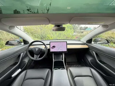 2020 Tesla Model 3 Standard Range Rear-Wheel Drive Upgrade, фото 4, лот 10355574