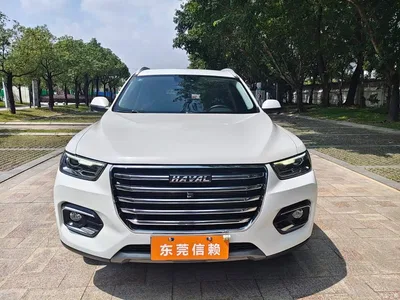 2020 Haval H6 1.5GDIT Automatic Platinum Champion Edition, фото 3, лот 11215903