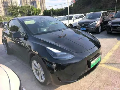 2023 Tesla Model Y Rear-Wheel Drive Edition, фото 3, лот 10808242
