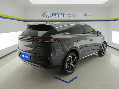 2021 BYD Tang New Energy DM-i 112KM Honor, фото 3, лот 10274748