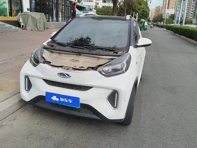 2021 QQ New Energy Little Ant 200K Fans Edition Energy Version (LFP Battery 301km), фото 1, лот 11242798