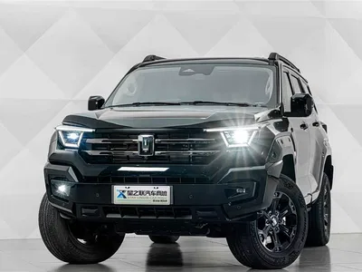 2024 Tank 400 New Energy Hi4-T Off-Road Edition, фото 2, лот 10344070