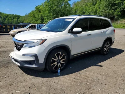 2019 HONDA PILOT ELITE, фото 1, лот 10683280