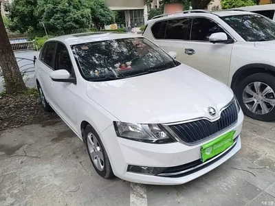 2018 Škoda Skoda Rapid Spaceback 1.6L Automatic Comfort, фото 4, лот 10348098