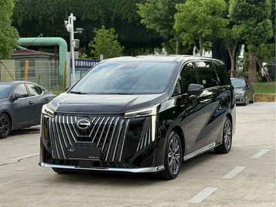 2024 GAC Trumpchi Trumpchi M8 Master Series 400T Premium Edition, фото 1, лот 10415437