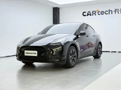 2023 Tesla Model Y Rear-Wheel Drive Edition, фото 1, лот 10616677