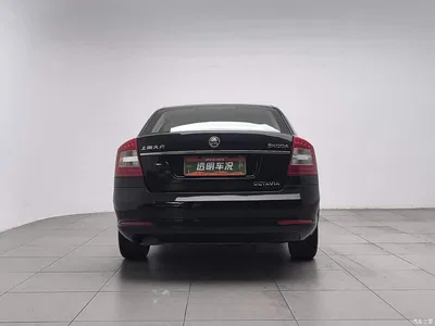 2014 Skoda 明锐, фото 4, лот 11169951