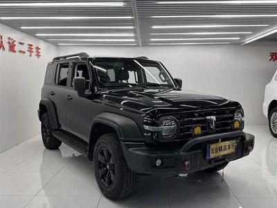 2021 Tank 300 Off-road Version 2.0T Conqueror, фото 2, лот 11224223