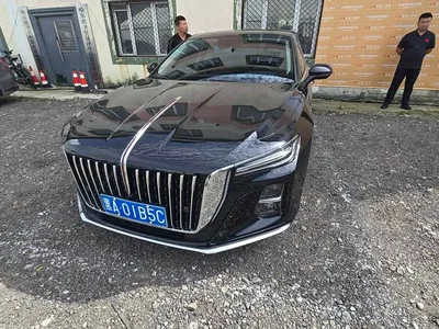 2025 Hongqi H5 1.5T DCT Flag Rhythm 500,000 Units Memorial Edition, фото 1, лот 10415635