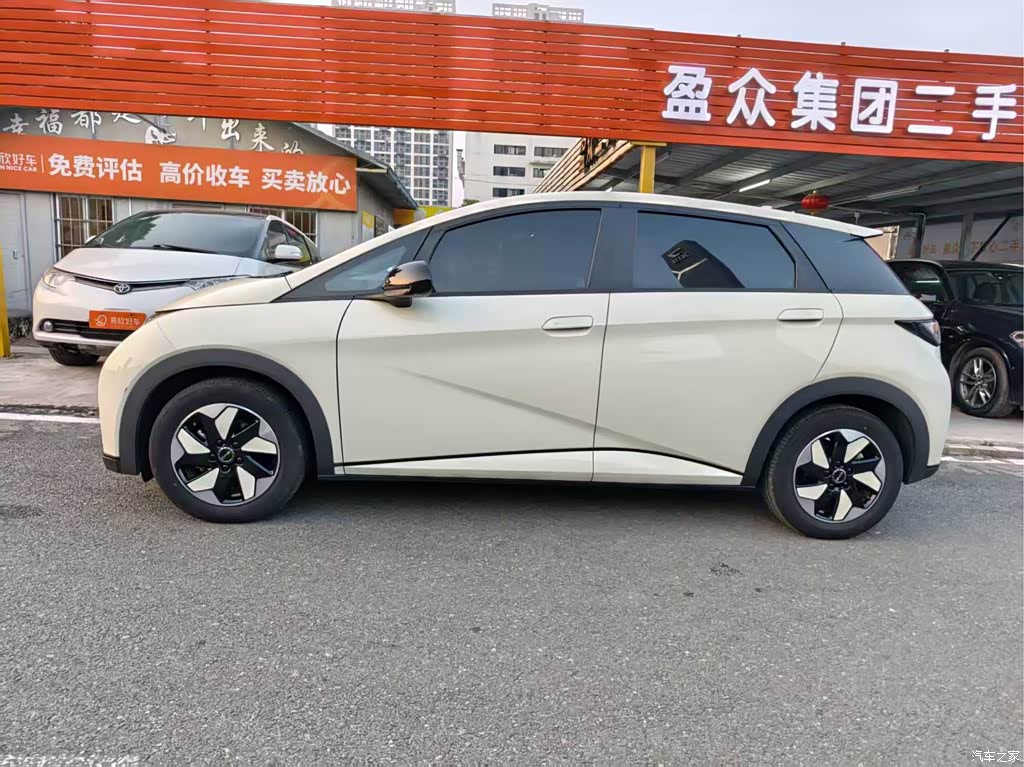 2024 BYD Dolphin Glory Edition 420km Freedom Edition, фото 4, лот 11205693