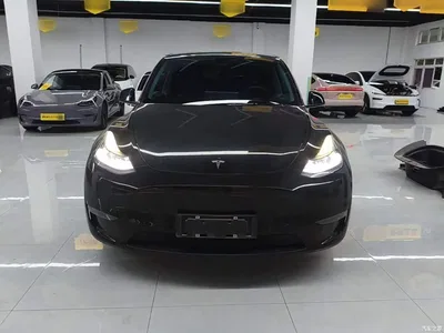 2021 Tesla Model Y Standard Range Rear-Wheel Drive, фото 3, лот 10370625