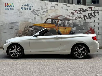 2019 BMW 2 Series (Import) 225i Convertible Coupe Sport Design Package, фото 3, лот 10239061