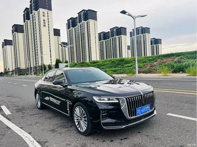 2022 Hongqi H9 2.0T Smart Connect Flag Smooth Edition, фото 3, лот 10287101