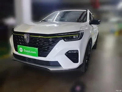 2020 Roewe RX5 PLUS 300TGI Auto Ali Guo Chao Ronglin Edition, фото 1, лот 10344894