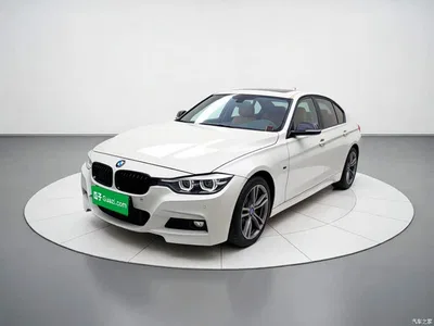 2019 BMW 3 Series 320Li M Sport Black Night Edition, фото 1, лот 11252447