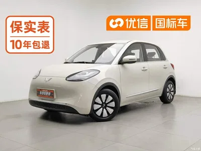 2023 Wuling Motors Wuling Bingo 203km Comfort Version, фото 1, лот 10353904