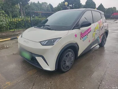 2024 BYD Seagull Glory Edition 305km Vitality Edition, фото 2, лот 11140901