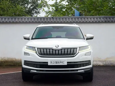 2019 Škoda Kodiaq Facelift TSI330 5-Seater 2WD Luxury Premium Edition China V, фото 2, лот 11199607