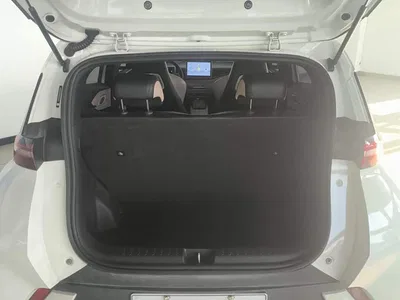 2024 BYD Seagull Glory Edition 305km Vitality Edition, фото 4, лот 10247253