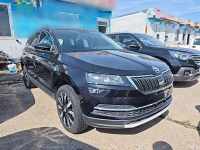 2019 Škoda Karoq TSI280 Smart Drive Luxury Edition China V, фото 4, лот 11501926