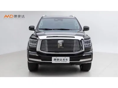 2022 Tank 500 3.0T Business Edition Zaojing 5-Seater, фото 2, лот 10344319