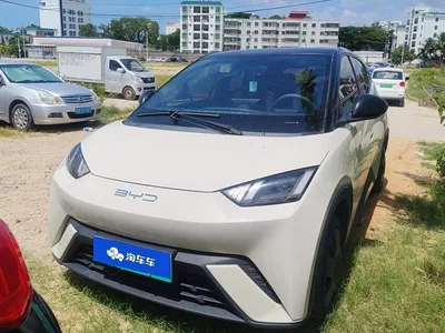 2023 BYD Seagull Vitality Edition, фото 2, лот 10395073