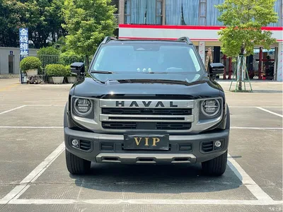 2024 Haval Big Dog 1.5T DCT Border Collie Edition, фото 2, лот 10361778