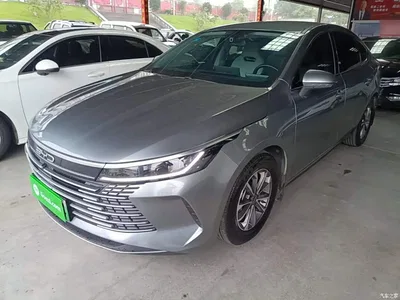 2024 BYD Destroyer 05 Glory Edition DM-i 55KM Luxury, фото 2, лот 10267790