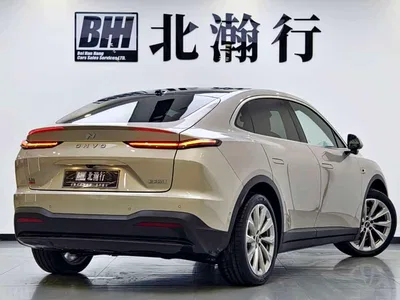 2025 Ledao L60 model 60kWh AWD version, фото 4, лот 10826628